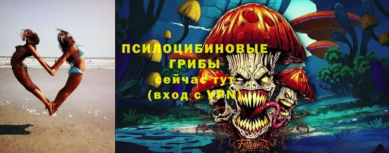 Галлюциногенные грибы MAGIC MUSHROOMS  Лабытнанги 